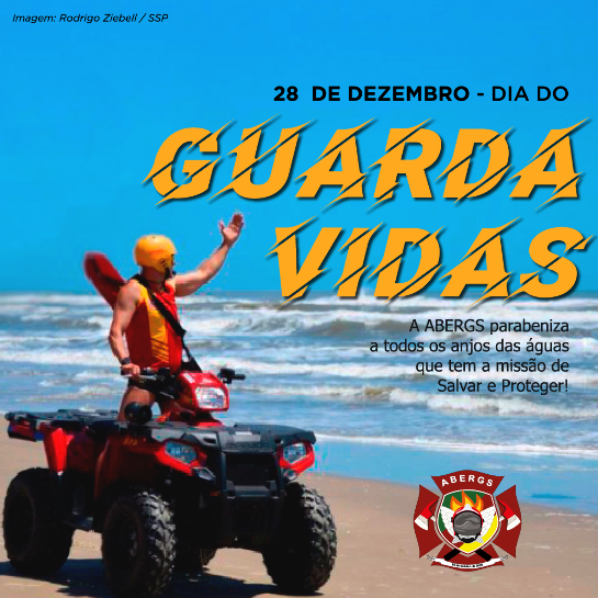 card-guarda-vidas.png