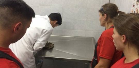 1-bombeiros-resgate-cachorro-18645935.jpeg