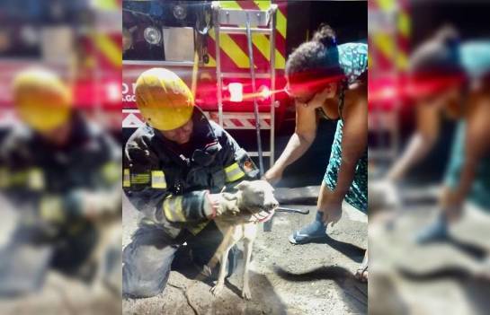 valentina.jpg