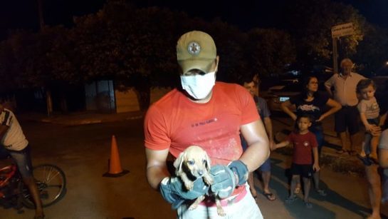 bombeiros-696x392.jpeg