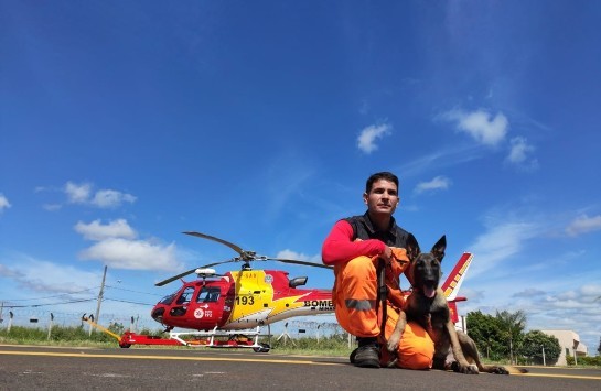 cao-bombeiro-scott-canil-corpo-de-bombeiros-uberaba.jpeg