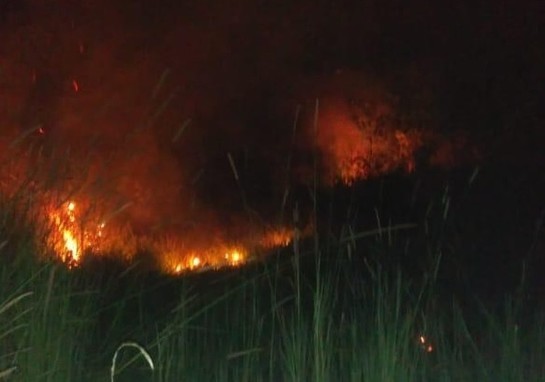 Incêndio atinge zoológico de Sapucaia do Sul fogo-zoo.jpg