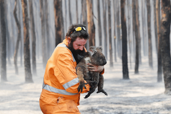 australia.gif