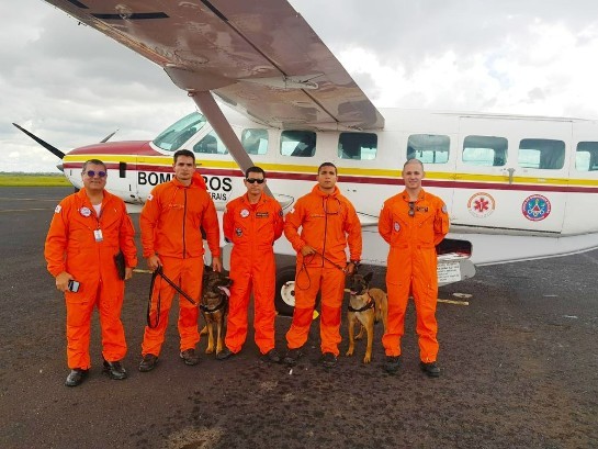 bombeiros-e-caes-de-uberaba-buscas-chuva-alto-caparao.jpeg