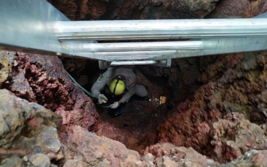 bombeiros-resgatam-filhotes-em-goias.jpg
