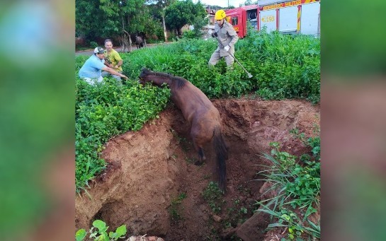 queda-cavalo.jpg