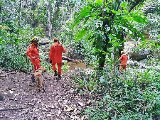 Com ajuda de cão de resgate, bombeiros encontram idoso perdido há 3 dias em mata, em Quebrangulo csm-com-ajuda-de-cao-de-resgate--bombeiros-encontram-idoso-perdido-ha-3-dias-em-mata---foto-divulgacao-cbm-c919bc2119.jpg
