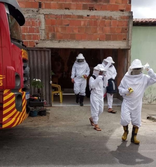 Ceará: Bombeiros resgatam três pessoas vítimas de ataque de abelhas em Messejana ii-bombeiros-resgatam-tres-pessoas-vitimas-de-ataque-de-abelhas-em-messejana-1.jpg