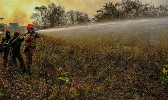Bombeiros catarinenses retornam ao estado depois de 14 dias de combate aos incêndios no Pantanal bombeiros-catarinenses-retornam-ao-estado-depois-de-14-dias-de-combate-aos-incendios-no-pantanal.jpg