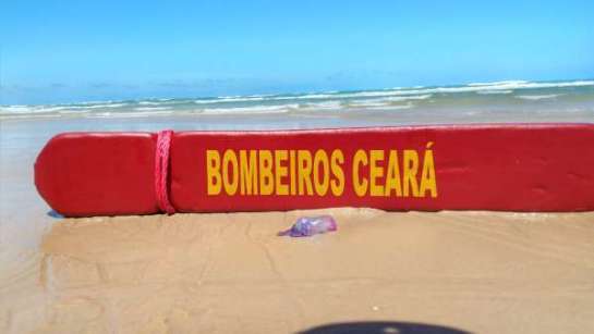 Ceará: Bombeiros alertam para os riscos de queimaduras por águas-vivas e caravelas corpo-de-bombeiros-alerta-para-os-riscos-de-queimaduras-por-aguas-vivas-e-caravelas-1-600x338.jpeg