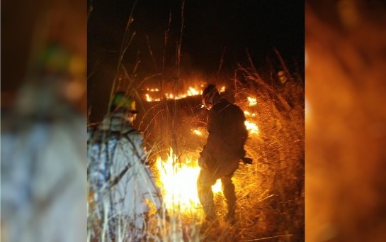 Incêndio na Chapada dos Veadeiros já atingiu área de quase 50 mil hectares, dizem bombeiros fogo-2.jpg