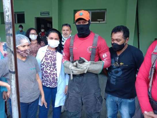Corpo de Bombeiros resgata filhote de gato preso em tubulação no Centro de Fortaleza whatsapp-image-2021-09-22-at-10.16.08-600x450-1.jpeg