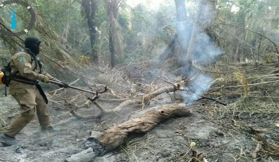 MS: Bombeiros conseguem controlar fogo que atravessou fronteira e ameaçava reserva indígena no Pantanal combate-a-queimadas-730x425.jpg