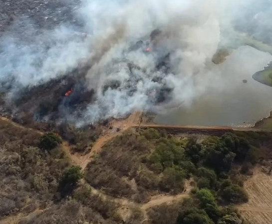 Corpo de Bombeiros combate queimadas na região de Serra Negra há uma semana 1c2aaf18a31a4d6b91abd3a278af77df-720-1280.png