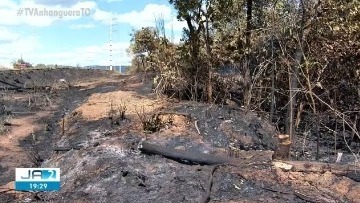 Palmas registra mais de 200 focos de incêndio combatidos e a maioria tem origem criminosa, diz bombeiros whatsapp-image-2023-08-04-at-08.41.10.jpeg