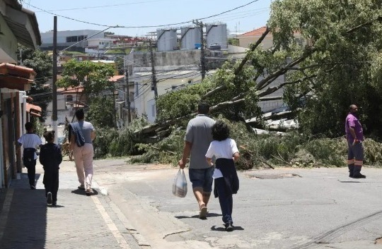 Bombeiros e Defesa Civil confirmam oito mortes pelas chuvas em SP whatsapp-image-2023-11-07-at-19.22.18.jpeg