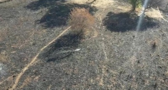 Bombeiros apagam incêndio florestal no Parque Nacional Serra das Confusões, no Sudeste do Piauí whatsapp-image-2023-10-25-at-10.18.22.jpeg