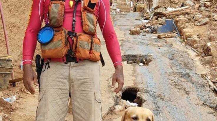 ABERGS lamenta o falecimento do cão Thayron, que atuava nas buscas no Vale do Taquari