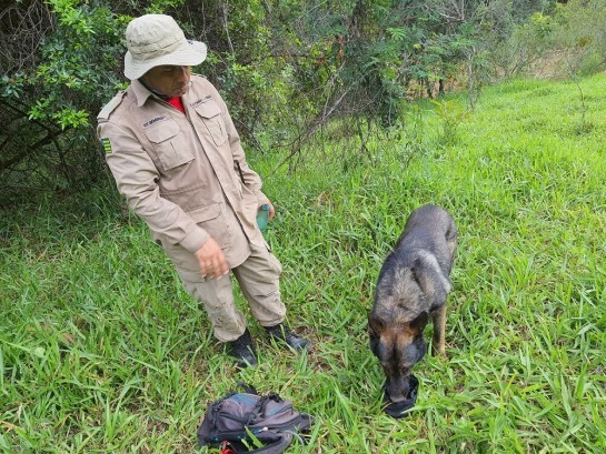 Goiás: Bombeiros de Silvânia e Anápolis encontram corpo de adolescente desaparecido em Vianópolis e9ffef2e-f529-495e-87ed-3256ab539cd5.jpeg