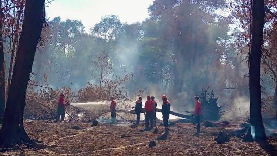 Incêndio no Cocó: Bombeiros seguem trabalhando e ainda há pequenos focos ativos em pontos isolados photo-by-sspds-ceara-on-january-19-2024.-may-be-an-image-of-6-people-fire-tree-grass-and-park..jpg
