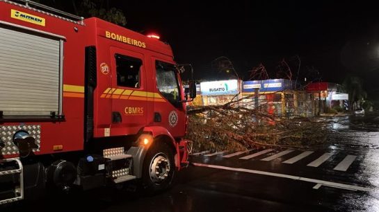 Bombeiros retiram árvore que interrompeu trânsito em rua do Centro de Alegrete alegretetudo-vento-de-90km-assutaram-alegrete-na-madrugada-img-20240321-wa0008-678x381.jpg