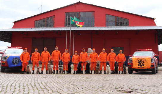 De dois para 14 cães: canil de Busca e Salvamento dos Bombeiros celebra 23 anos no RS captura-de-tela-2026-07-13-143546.png
