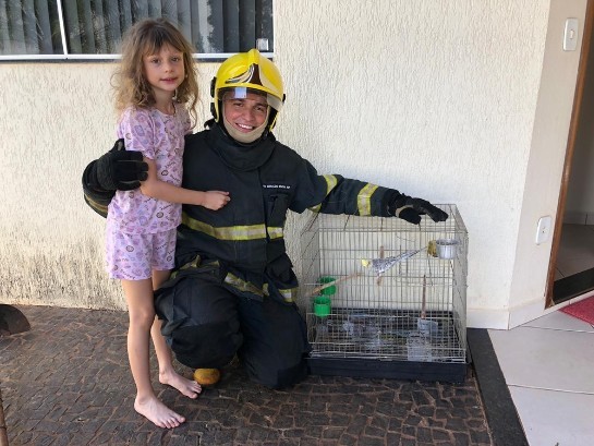 Bombeiros de Ituiutaba resgatam calopsita de criança após varanda pegar fogo bombeiro-salva-calopsita-de-incendio-em-residencia-no-bairro-universitario-em-ituiutaba.jpeg