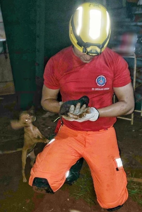 Filhote de cachorro é resgatado de tubulação pelos bombeiros em Ituiutaba cachorro-bueiro.jpg