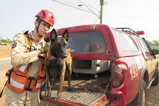 Cadela dos Bombeiros conquista certificado nacional para realizar buscas em escombros f-01.jpg