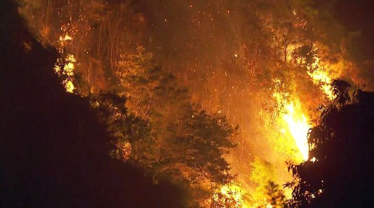 Bombeiros registram mais de mil incêndios em SP nos últimos cinco dias parque-do-carmo.jpg