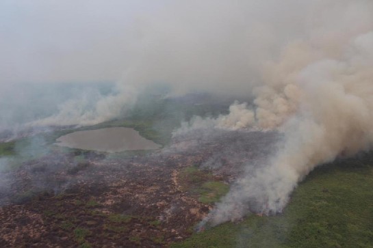 Bombeiros e Exército combatem queimadas na região do Pantanal em MT exercito-e-cbm-monitoram-incendios-florestais-no-pantanal.jpg