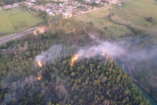 Bombeiros combatem focos de incêndio em mata nativa no município de Urussanga large-5176912795d93cbfa2e91b8.54745760.jpg