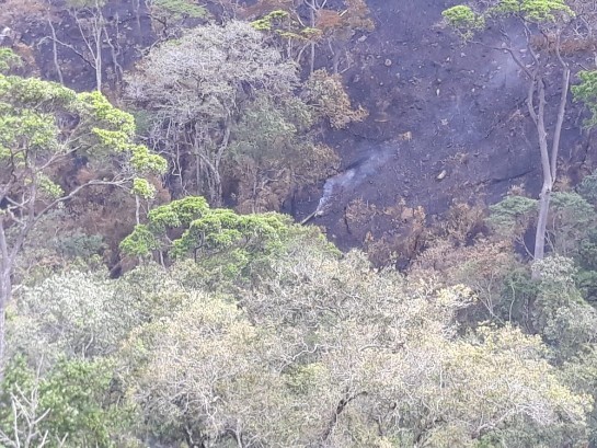 Incêndio em cidades da Chapada Diamantina é controlado e bombeiros acompanham outros focos whatsapp-image-2019-10-22-at-17.27.11-1-.jpeg