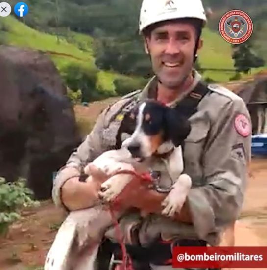 Bombeiros resgatam cadela que ficou 5 dias no alto de montanha em Ibiraçu apos-fazer-a-descida-com-a-tecnica-do-rapel-cabo-fabre-concluiu-com-sucesso-o-resgate-da-cadelinha-218221-article.jpg