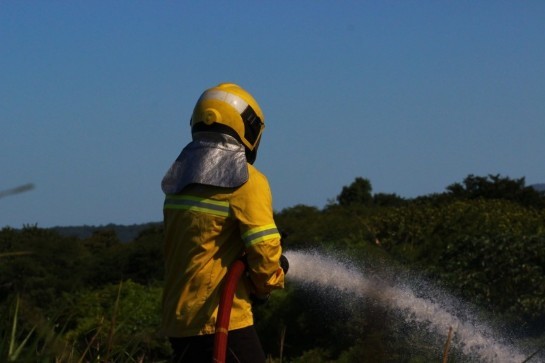 Criciúma: Queimadas já correspondem a 85% das ocorrências atendidas pelos bombeiros em 2020 queimadas-ja-correspondem-a-85-das-ocorrencias-atendidas-pelos-bombeiros-em-2020-1125852.jpg