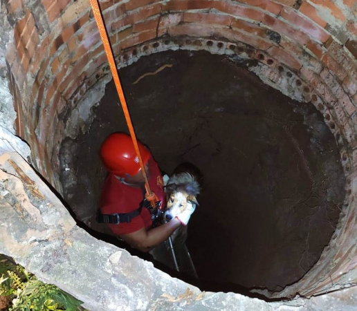 Bombeiros resgatam cachorro de poço com 10 metros de profundidade no interior do PR noticia-872161-img1-poo.jpg