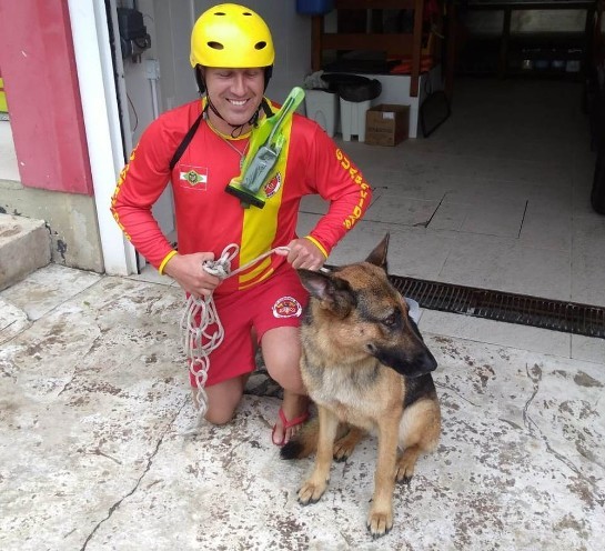Cadela cai no mar e é resgatada por bombeiros com moto aquática em SC bombeiros-e-cadela.jpg