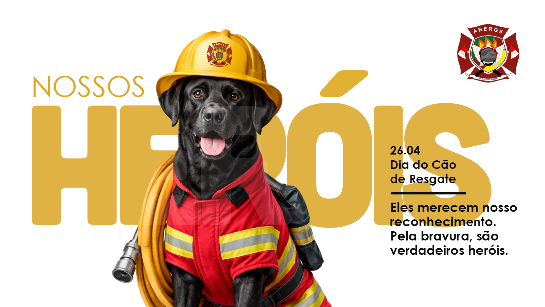 Dia do Cão de Resgate: nossos anjos de quatro patas! matria-cao-de-resgate.png