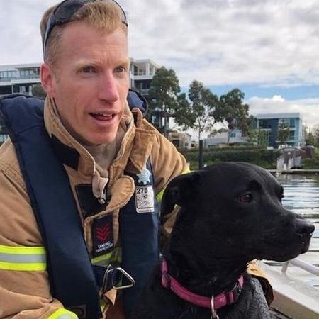 Bombeiros resgatam cachorra que nadou 1 km atrás de patos, na Austrália bombeiros-resgatam-cachorro-que-nadou-1-km-atras-de-patos-na-australia-1598203269107-v2-450x450.jpg