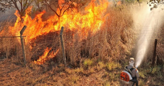 Atuação de bombeiros militares impede avanço de incêndio florestal na região sul de Palmas 20200726140702-atuacao-de-bombeiros-militares-impede-avanco-de-incendio-florestal-na-regiao-sul-de-palmas.jpg