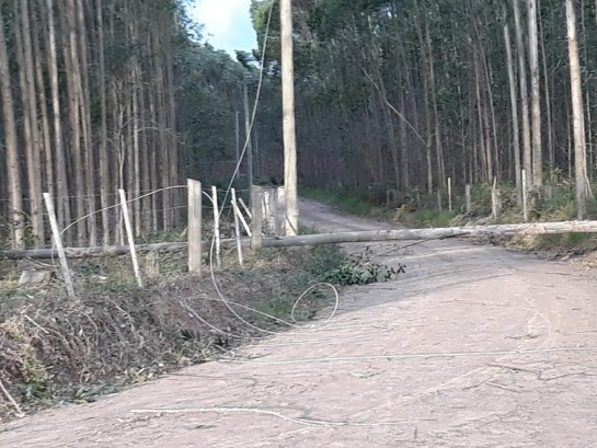 SC: Corpo de Bombeiros realiza corte de árvores e liberação de pista em Sombrio corpo-de-bombeiros-realiza-corte-de-arvores-e-liberacao-de-pista-em-sombrio.jpg
