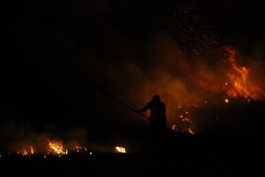 Batalhão de Bombeiros Militar atendeu mais de 800 incêndios em vegetação neste ano batalhao-de-bombeiros-militar-atendeu-804-incendios-em-vegetacao-neste-ano.jpg