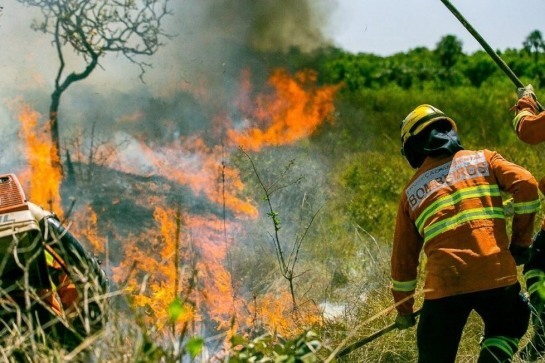 Defesa Civil e bombeiros montam base contra incêndios na Mantiqueira 1-9-9--incendios-florestais--foto-divulgacao4-e1599676046868-6275539.jpg