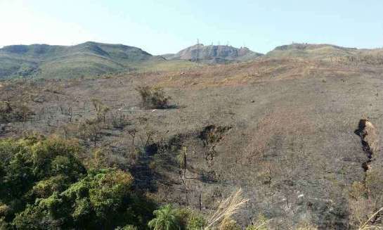 Incêndio na Mata da Baleia, em BH, mobiliza Corpo de Bombeiros 20200908085942754491e.jpg