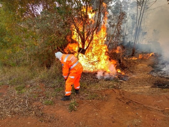 Bombeiros de Barbacena registram pelo menos oito incêndios em vegetação em menos de 24 horas whatsapp-image-2020-09-12-at-11.12.57.jpeg