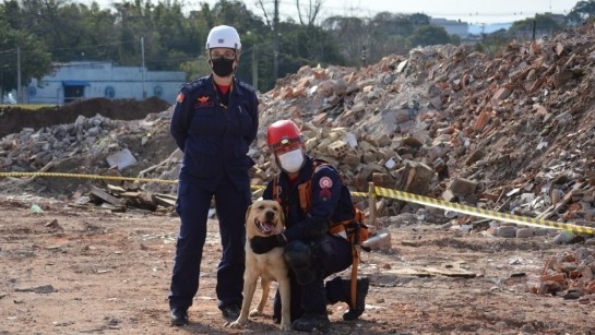 CBMRS certifica 21 duplas de militares e cães para atividades de busca e salvamento 06210714-57294-gd.jpeg
