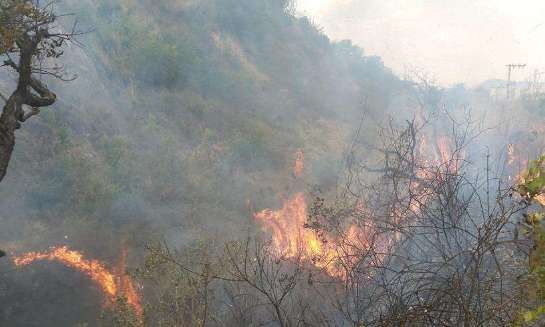 MG: Bombeiros registram quase 200 chamados de incêndio no final de semana 20210816175039459579o.jpeg
