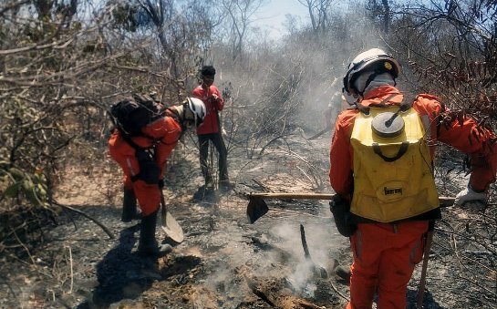 Bombeiros combatem incêndio florestal que já dura uma semana no norte da Bahia csm-combate-a-incendio-em-pilao-arcado-bahia-agosto-2021-foto-cbm-divulgacao-66872e8372.jpg