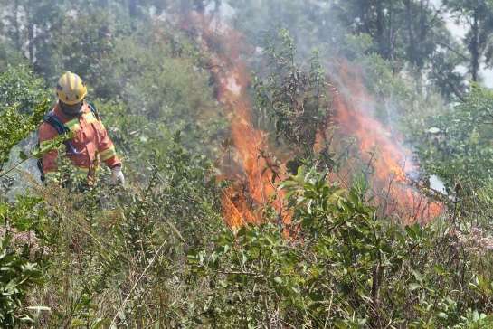 Fogo, calor e cansaço: bombeiros fazem treinamento para combate a incêndios 20210204183506825324i.jpg