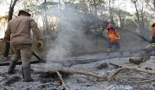 MS: Corpo de Bombeiros faz alerta para prevenção de queimadas durante período de estiagem combate-a-queimadas-no-pantanal-foto-chico-ribeiro-768x425-730x425-730x425.jpg